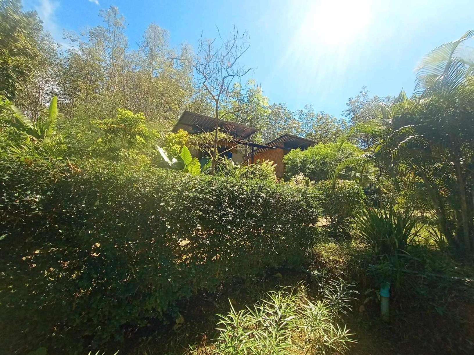 Koh Mook Bamboo Bungalows Exterior foto